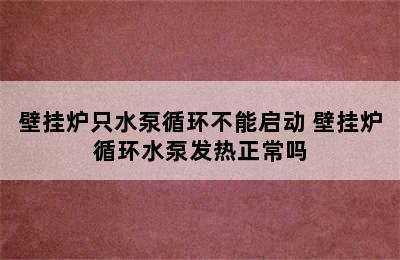 壁挂炉只水泵循环不能启动 壁挂炉循环水泵发热正常吗